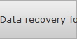 Data recovery for Roslyn data